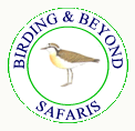 Tanzania Birding & Beyond Safari bird logo